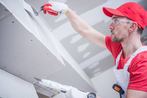 Best Drywall Installation  in USA